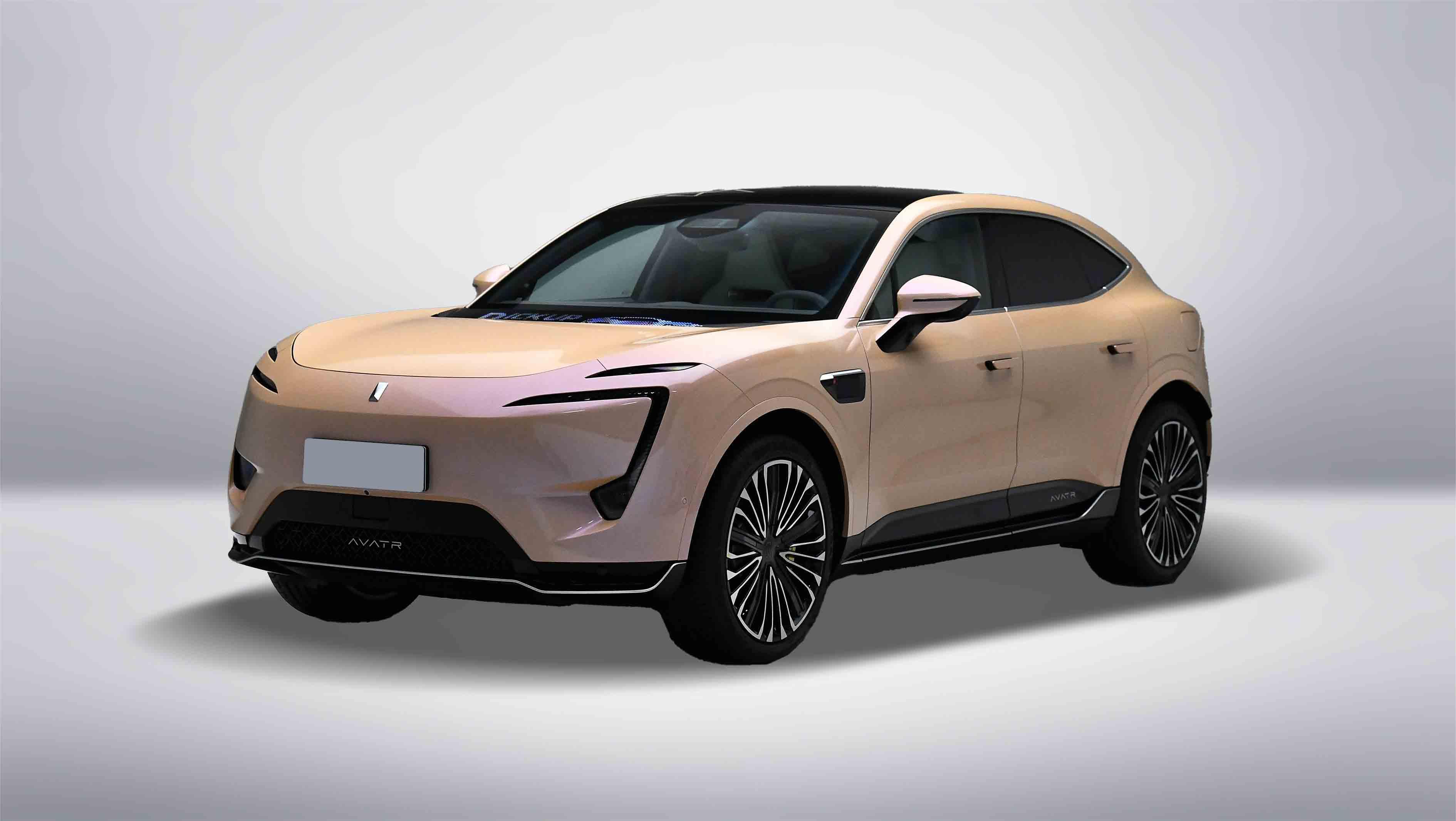 11EV
